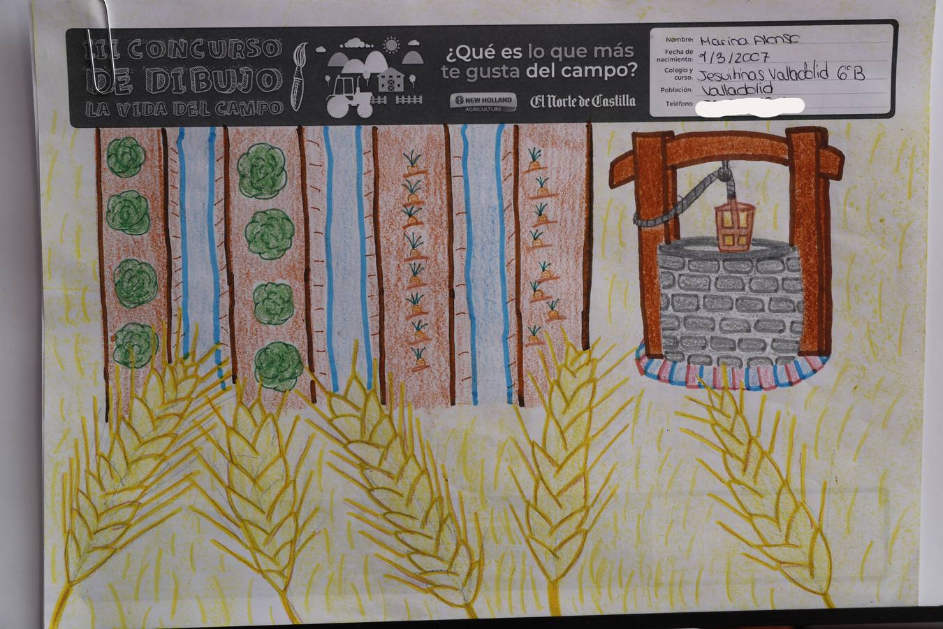 Fotos: Trabajos de 6º de Primaria en la modalidad de dibujo del III Concurso de Dibujo y Cómic &#039;La vida del campo&#039;