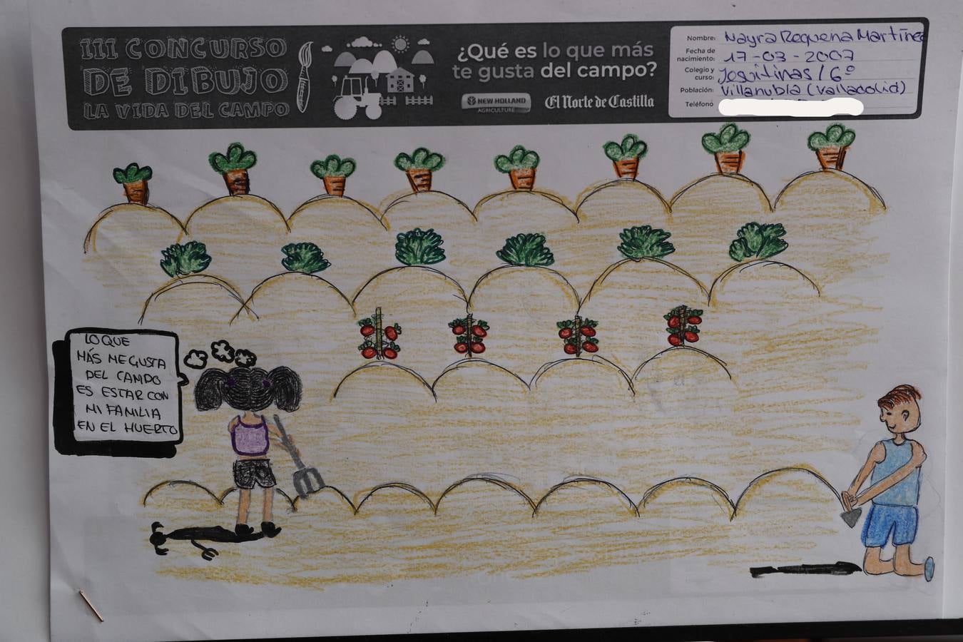 Fotos: Trabajos de 6º de Primaria en la modalidad de dibujo del III Concurso de Dibujo y Cómic &#039;La vida del campo&#039;