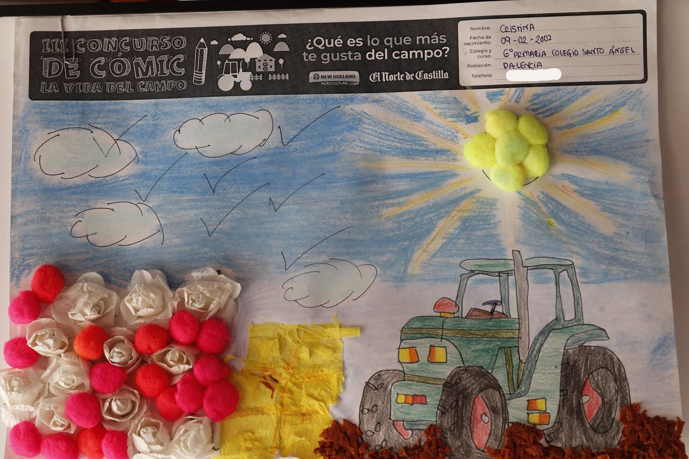 Fotos: Trabajos de 6º de Primaria en la modalidad de dibujo del III Concurso de Dibujo y Cómic &#039;La vida del campo&#039;