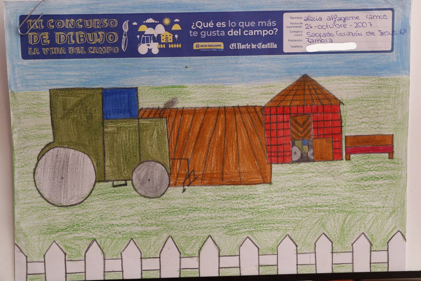 Fotos: Trabajos de 6º de Primaria en la modalidad de dibujo del III Concurso de Dibujo y Cómic &#039;La vida del campo&#039;