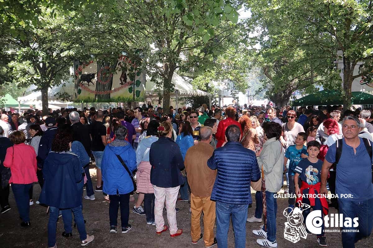 La mañana amanecía nublada y húmeda pero el día ha levantado y el Parque del Parral se ha llenado de burgaleses y amigos para celebrar la Festividad del Curpillos entre las carpas de las peñas