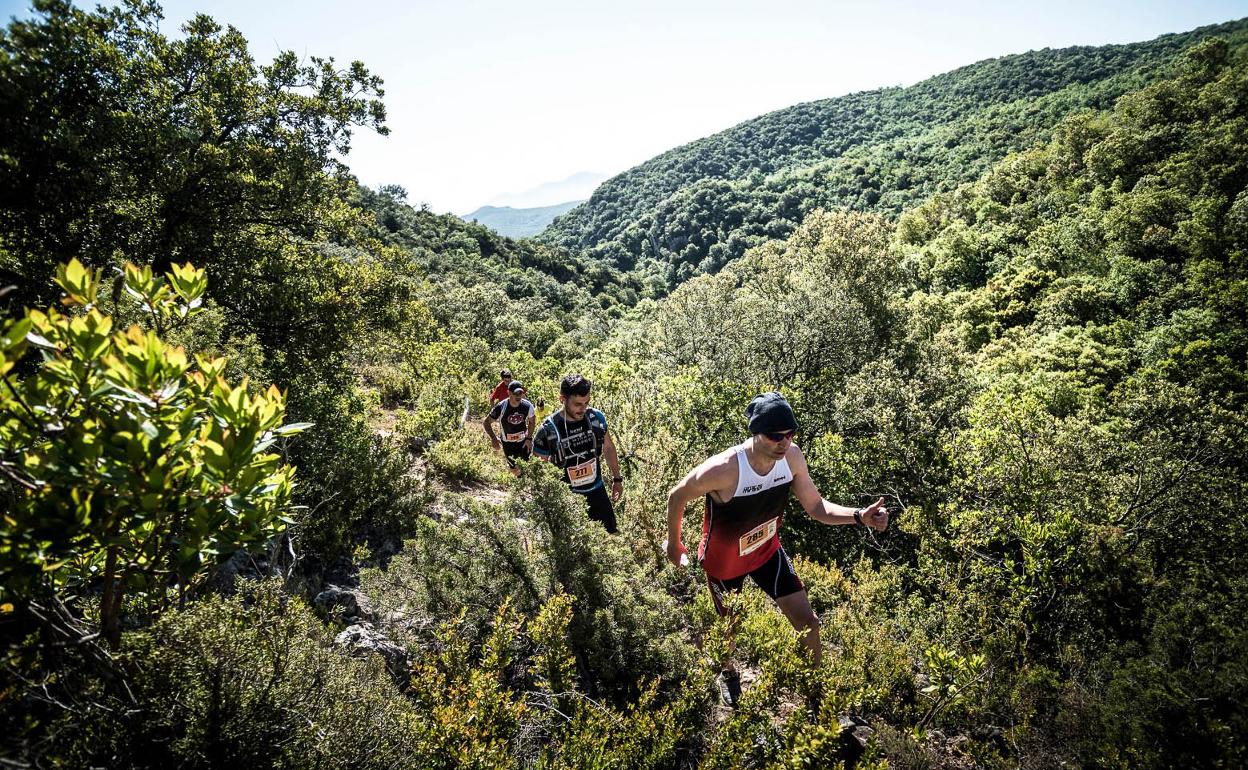 Varios corredores en la última Carrera por Montaña de Miranda de Ebro. 