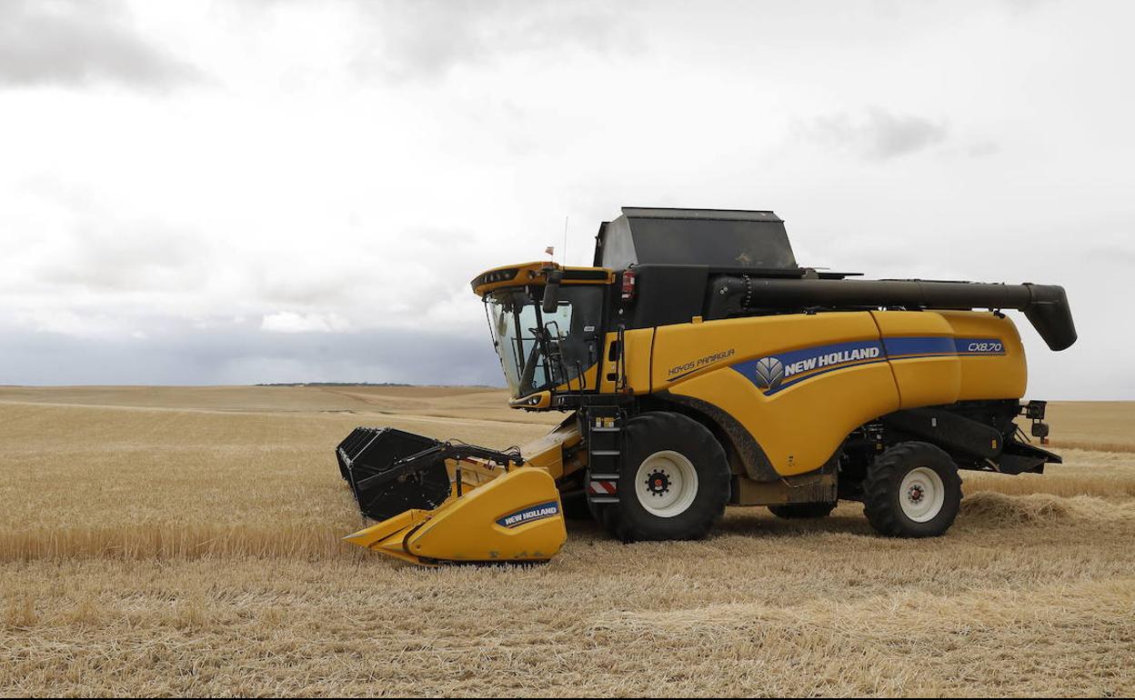 Cosechadora en Paredes de Nava, Palencia.