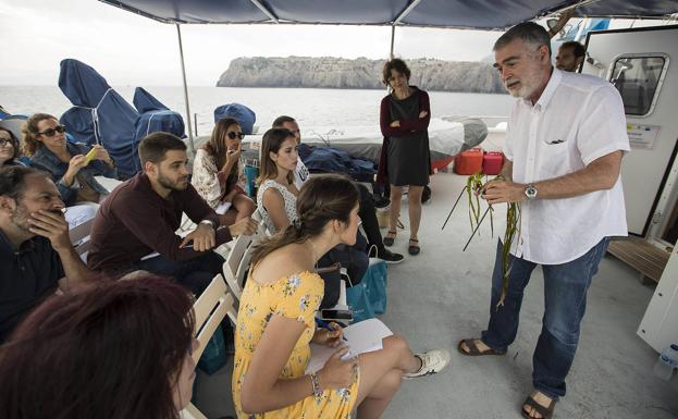 Imagen principal - Expertos del CSIC explican el proceso de recuperación de la posidonia en la Bahía de Pollensa (Mallorca).