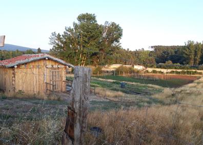 Imagen secundaria 1 - Los productos del huerto escuela y colectivo de Quintanar de la Sierra: hortalizas, aprendizaje y soberanía alimentaria