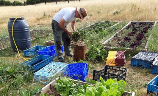 Uno de los voluntarios trabaja en el huerto escuela y colectivo de Quintanar. 