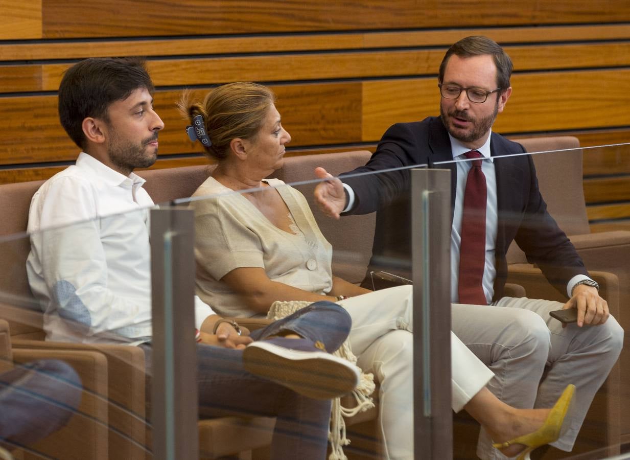 Los votos a favor de PP y Ciudadanos han convertido al vitoriano Javier Maroto en nuevo senador autonómico por Castilla y León | El vicesecretario de Organización del PP (sin vinculación anterior con la comunidad) ha sido elegido como miembro de la Cámara Alta, junto con los socialistas Teresa López y Fran Díaz, en una votación conjunta, no exenta de polémica.