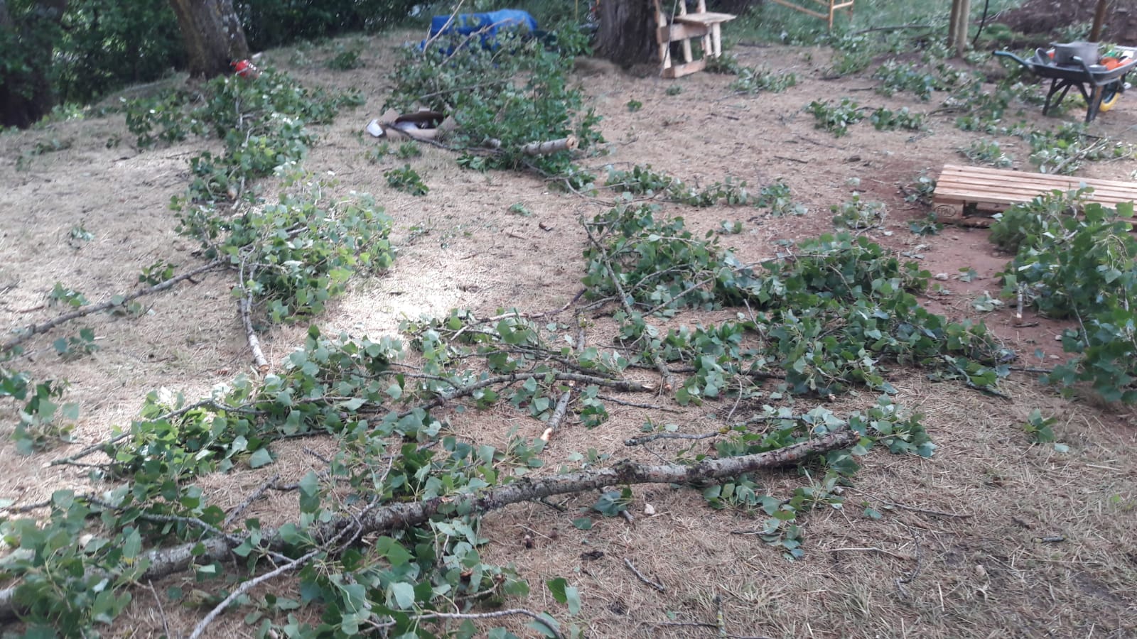 El grupo de Scouts de San Pedro y San Felices sufre las consecuencia de una gran tormenta que ha destrozado tiendas de campaña, carpas y enseres personales en Cascajares de la Sierra | Una niña sufrió un esguince en una muñeca