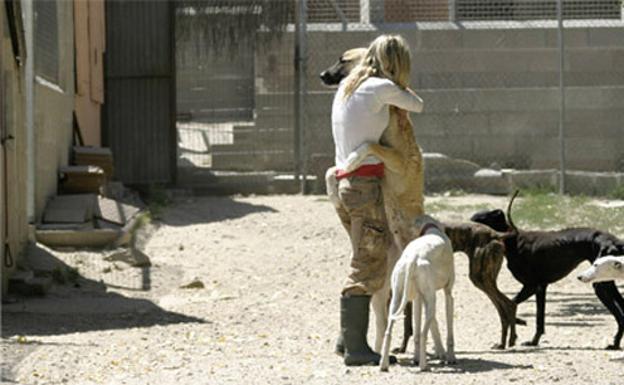 Una adopción más allá de la muerte