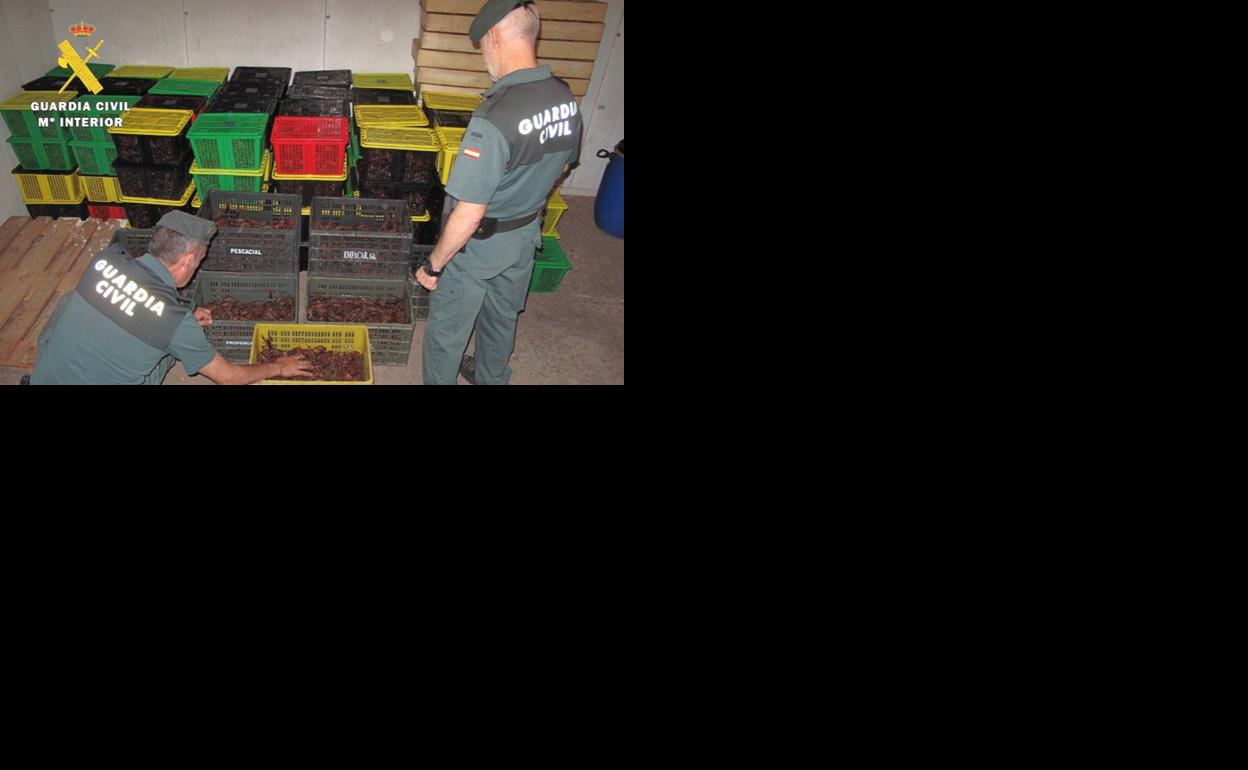 Dos agentes de la Guardia Civil comprueban las cajas con los cangrejos rojos. 