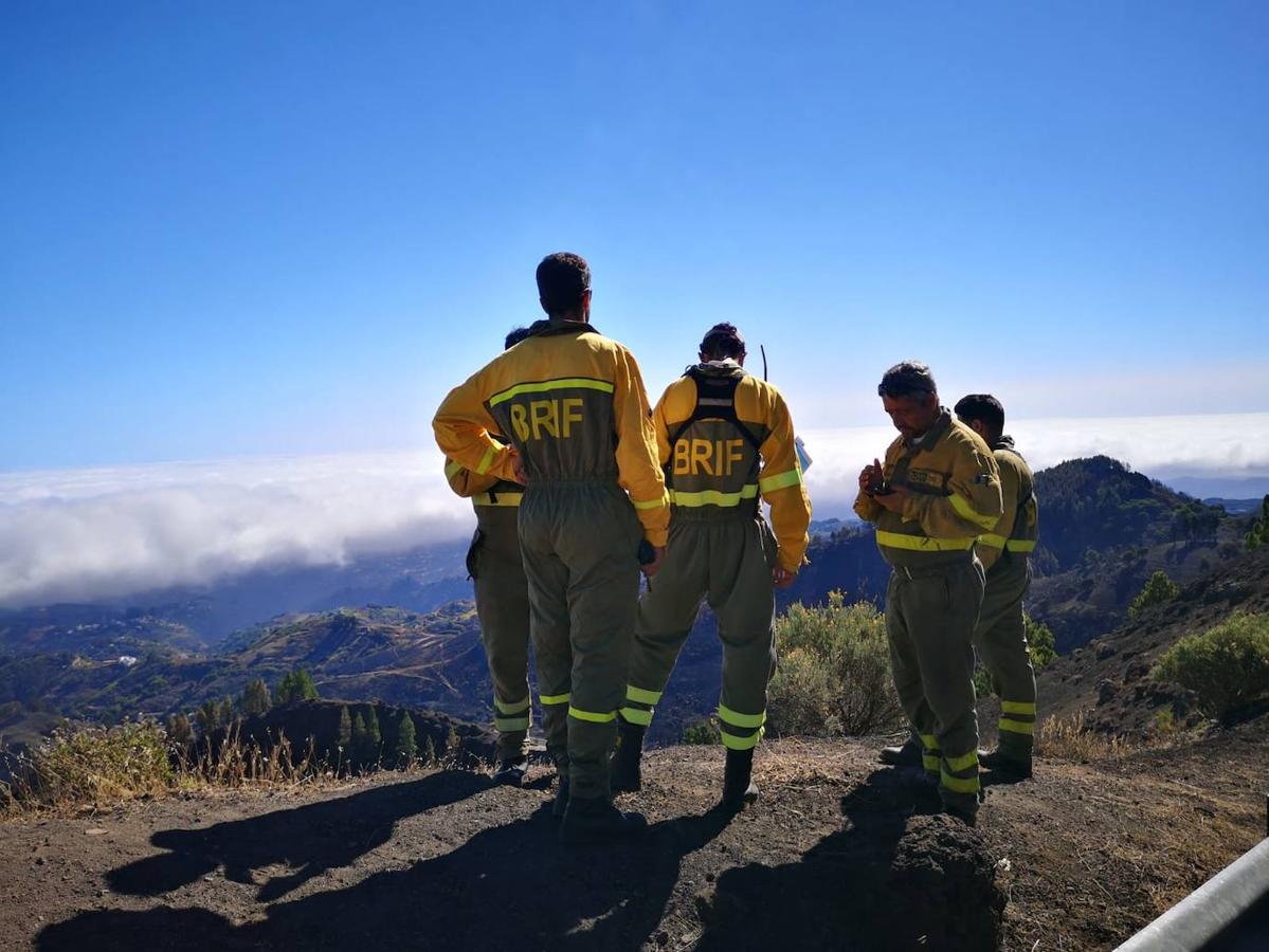 Bomberos del BRIF de León ya trabajan en el incendio de Gran Canaria.