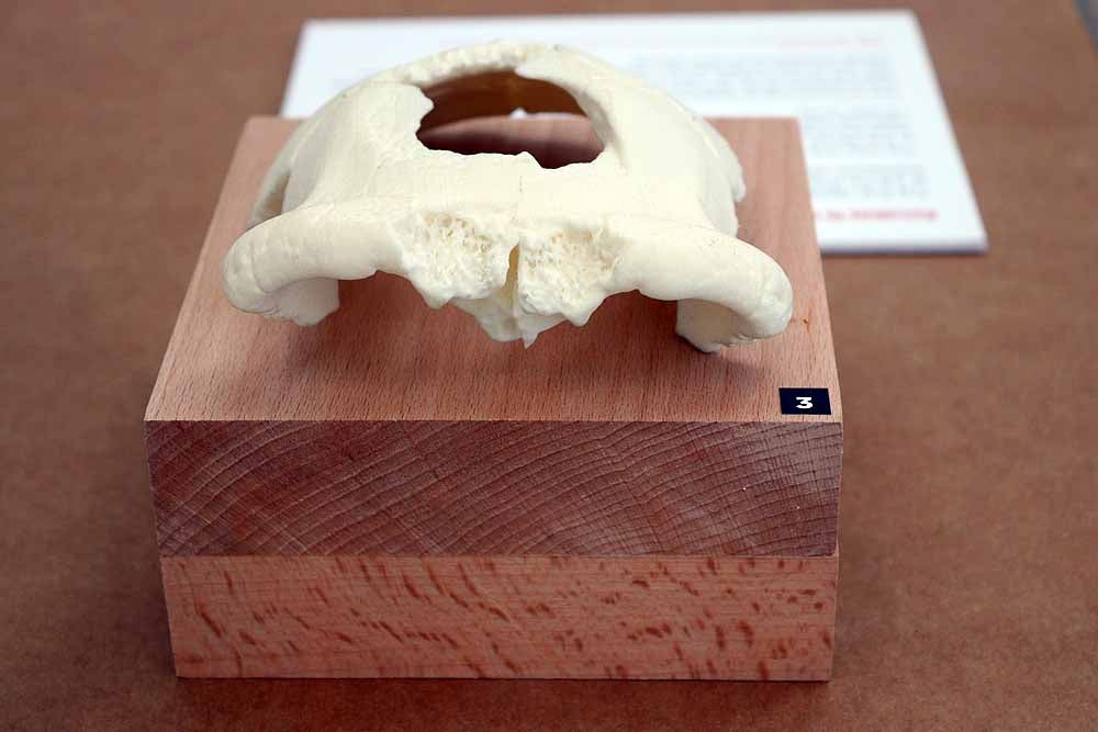 Esta exposición se encuentra en el MEH hasta el mes de septiembre