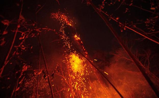 Dieciocho millones de euros para combatir los incendios de la Amazonía