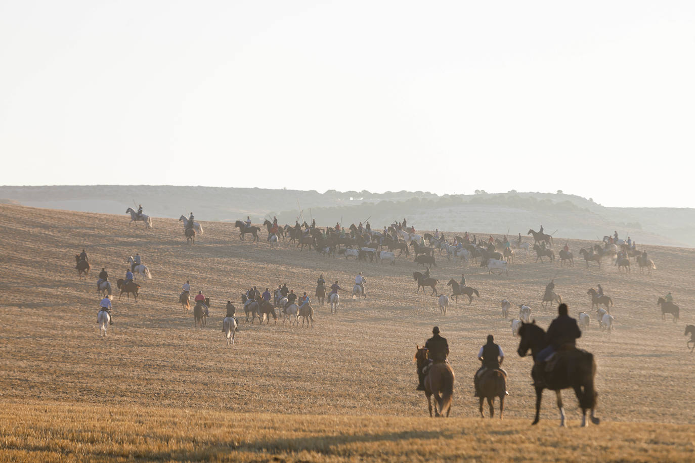 Cuarto encierro en Cuéllar.