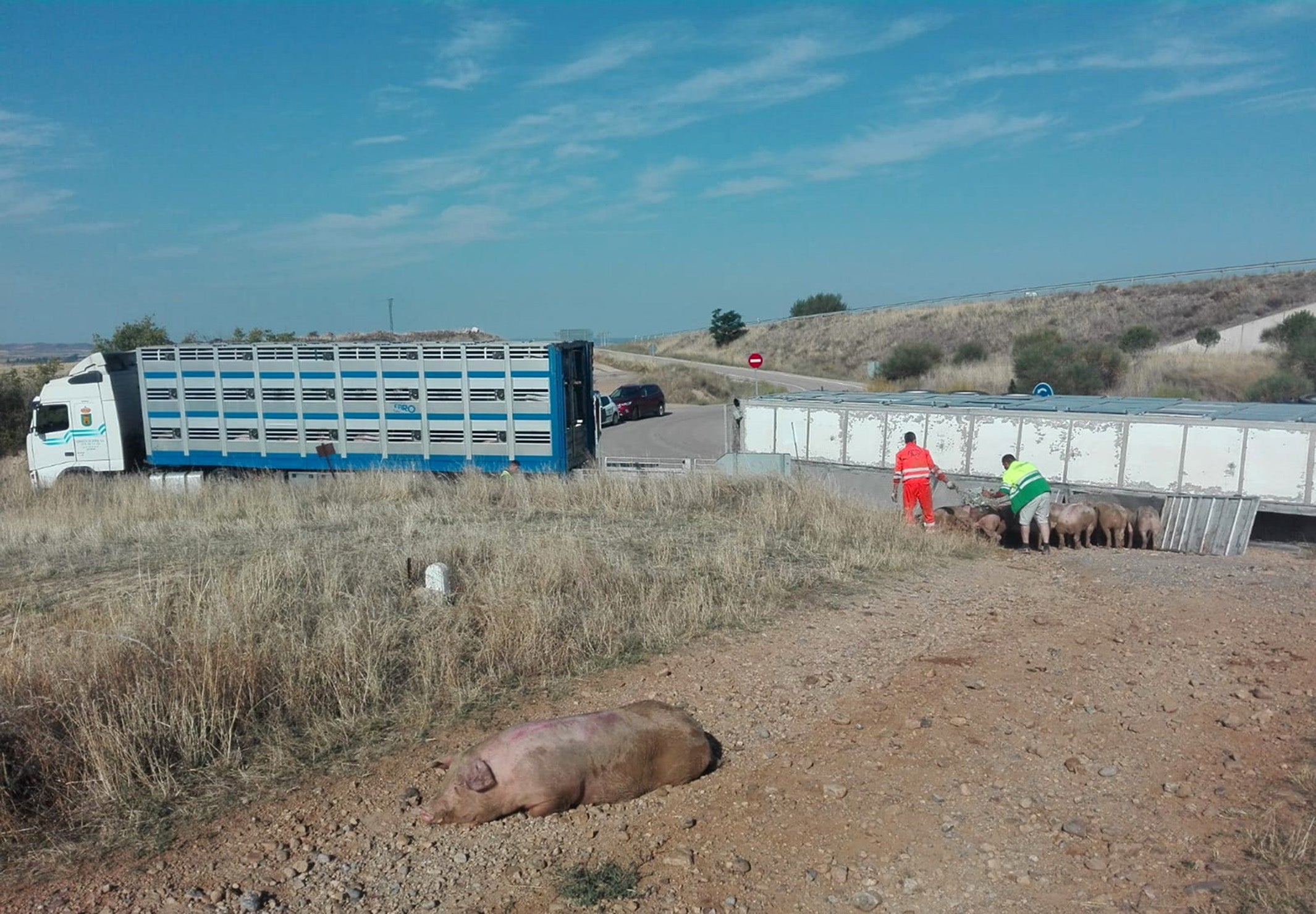 Vuelca un camión que transportaba cerdos en la localidad soriana de Gómara