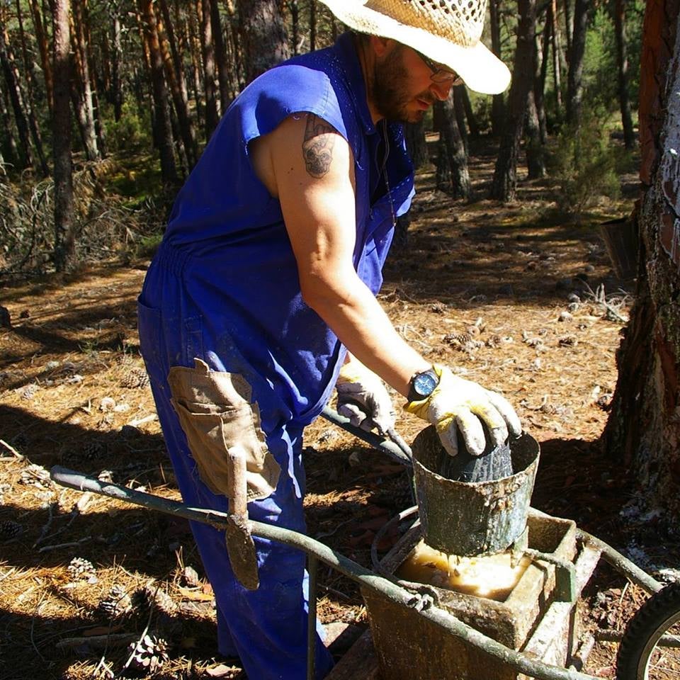 Raúl Gómez en el monte de Hontoria del Pinar desempeñando un oficio que parece condenado a desaparecer, el de resinero. 