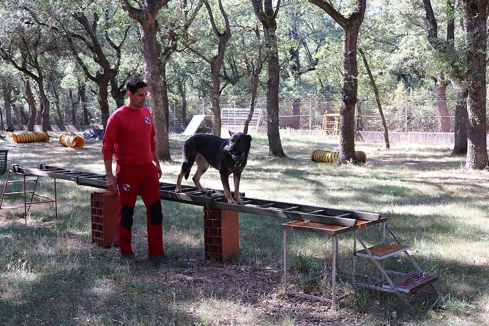 Burgos acoge al GREM, Grupo de Rescate Espeleológico y de Motañana con su Unidad Canina de Salvamento, compuesta por dieciséis voluntarios