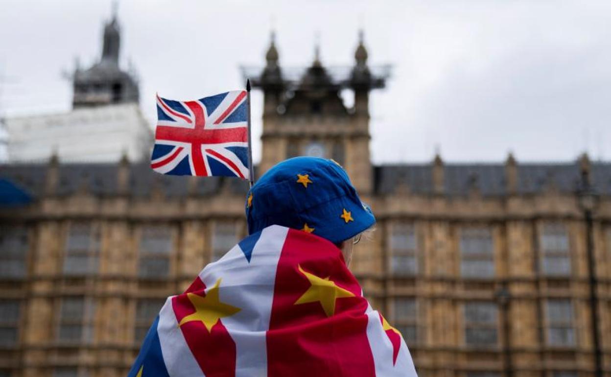 Un manifestante antiBrexit, frente al Parlamento Británico.