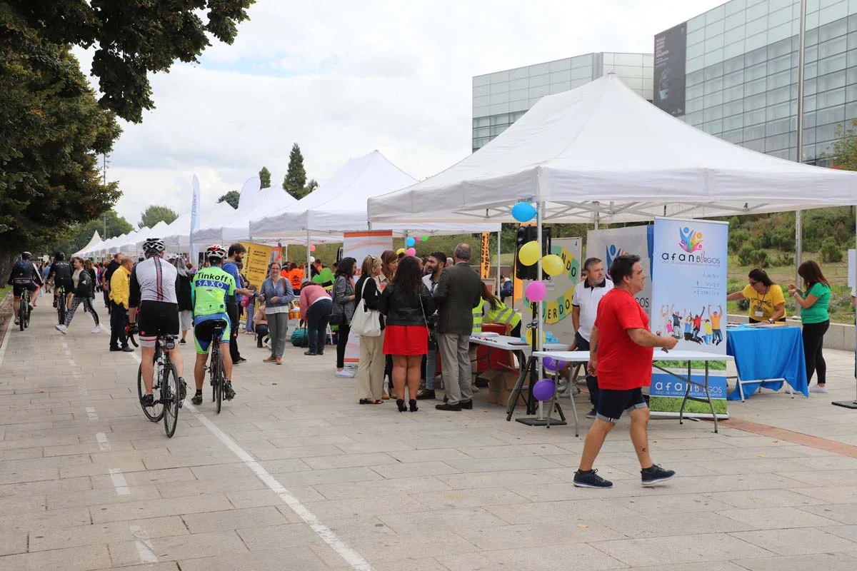 Fotos: X Feria de Participación Ciudadana