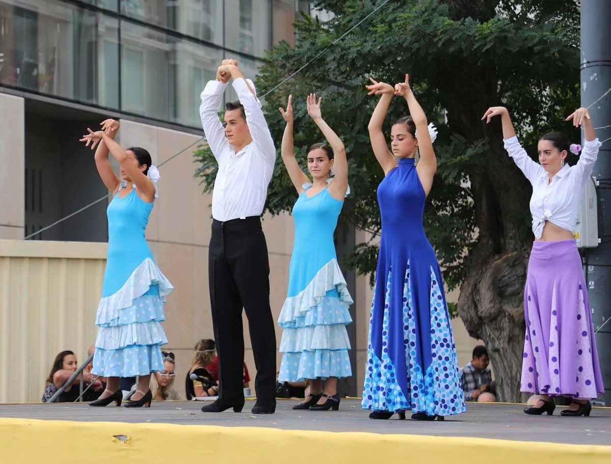 Fotos: X Feria de Participación Ciudadana