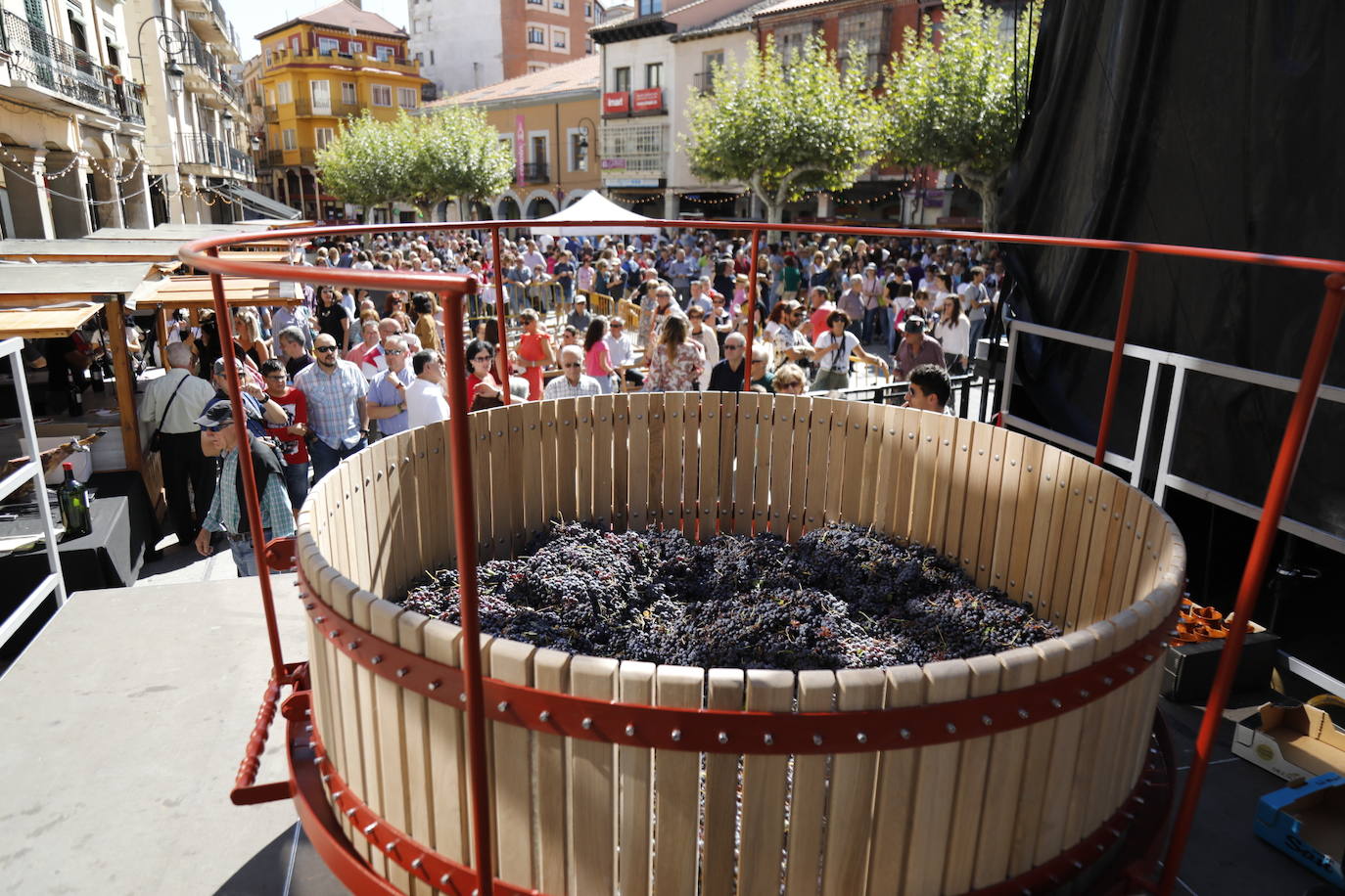 Aranda de Duero ha festejado hoy la Fiesta de la Vendimia. 