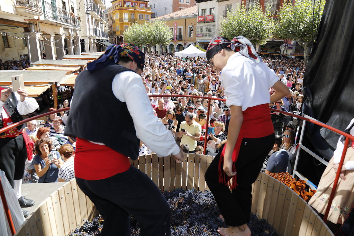 Aranda de Duero ha celebrado hoy la Fiesta de la Vendimia. 