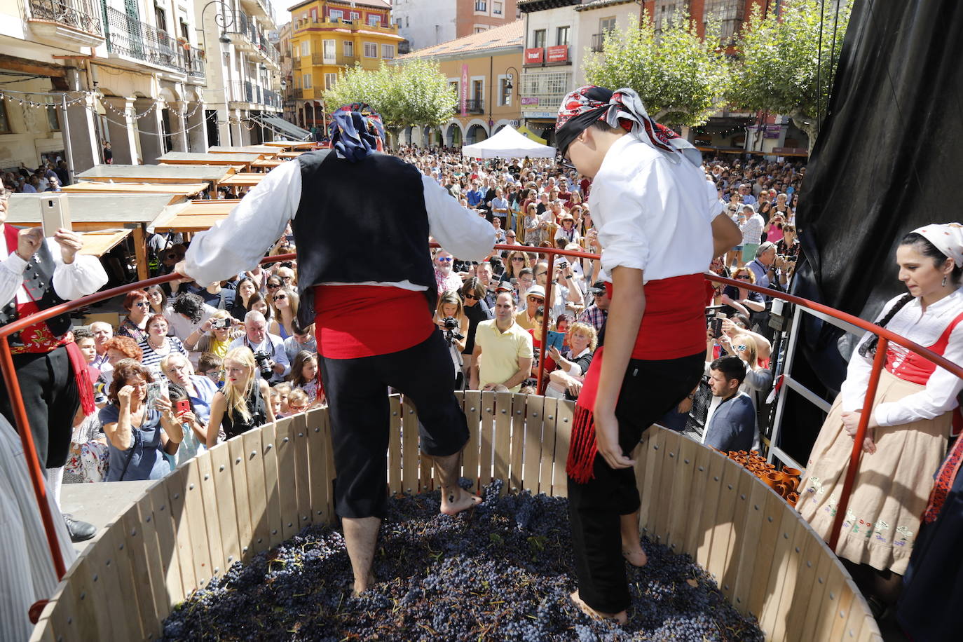 Aranda de Duero ha celebrado hoy la Fiesta de la Vendimia. 