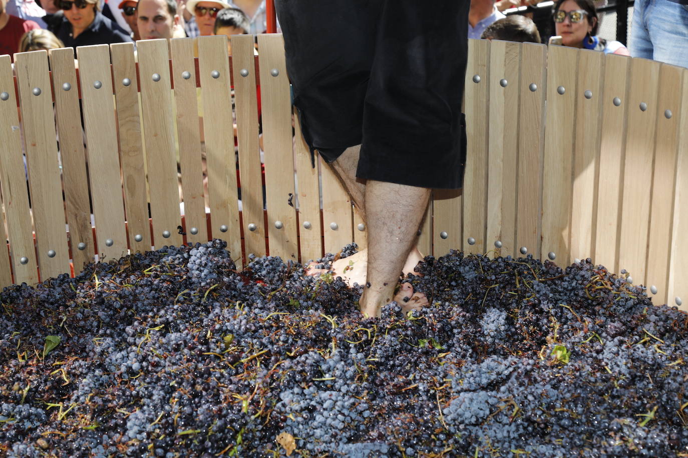 Aranda de Duero ha celebrado hoy la Fiesta de la Vendimia. 