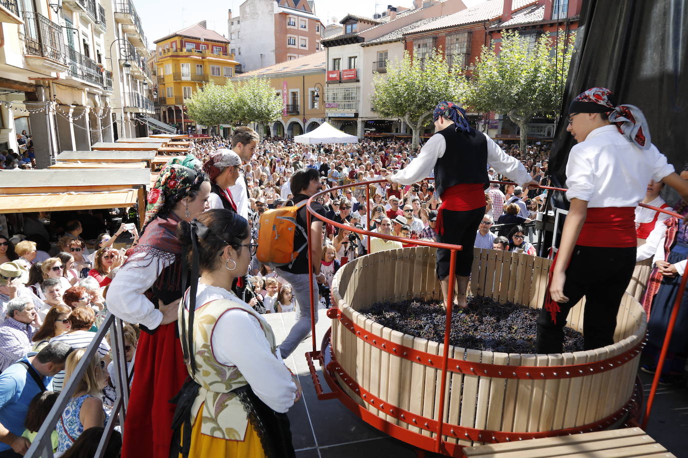 Aranda de Duero ha celebrado hoy la Fiesta de la Vendimia. 