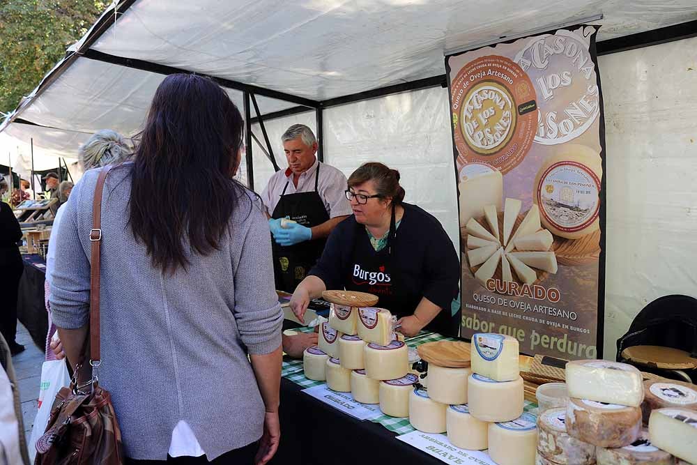 UCCL organiza la XVII Feria de la Biodiversidad en el Paseo Marceliano Santamaría con una veintena de expositores