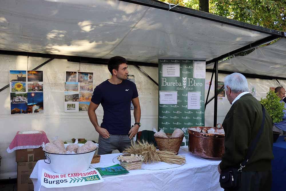 UCCL organiza la XVII Feria de la Biodiversidad en el Paseo Marceliano Santamaría con una veintena de expositores