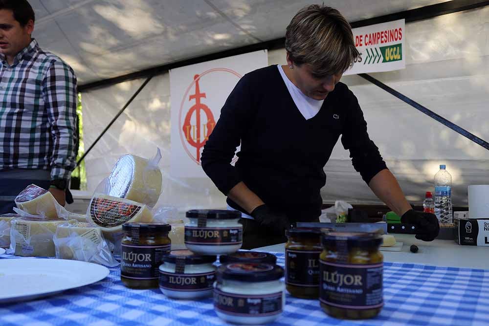 UCCL organiza la XVII Feria de la Biodiversidad en el Paseo Marceliano Santamaría con una veintena de expositores