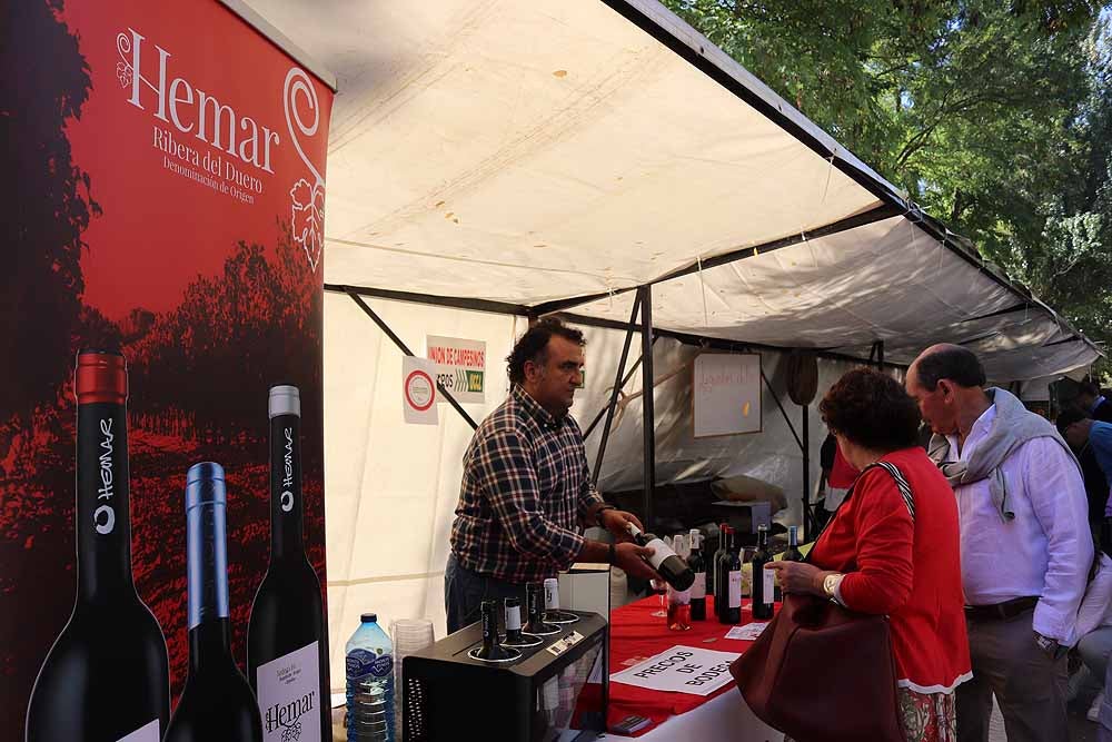 UCCL organiza la XVII Feria de la Biodiversidad en el Paseo Marceliano Santamaría con una veintena de expositores