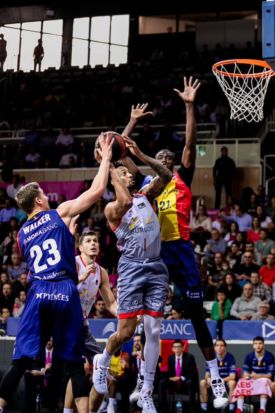 Fotos: Imágenes del partido disputado entre MoraBanc Andorra y San Pablo Burgos