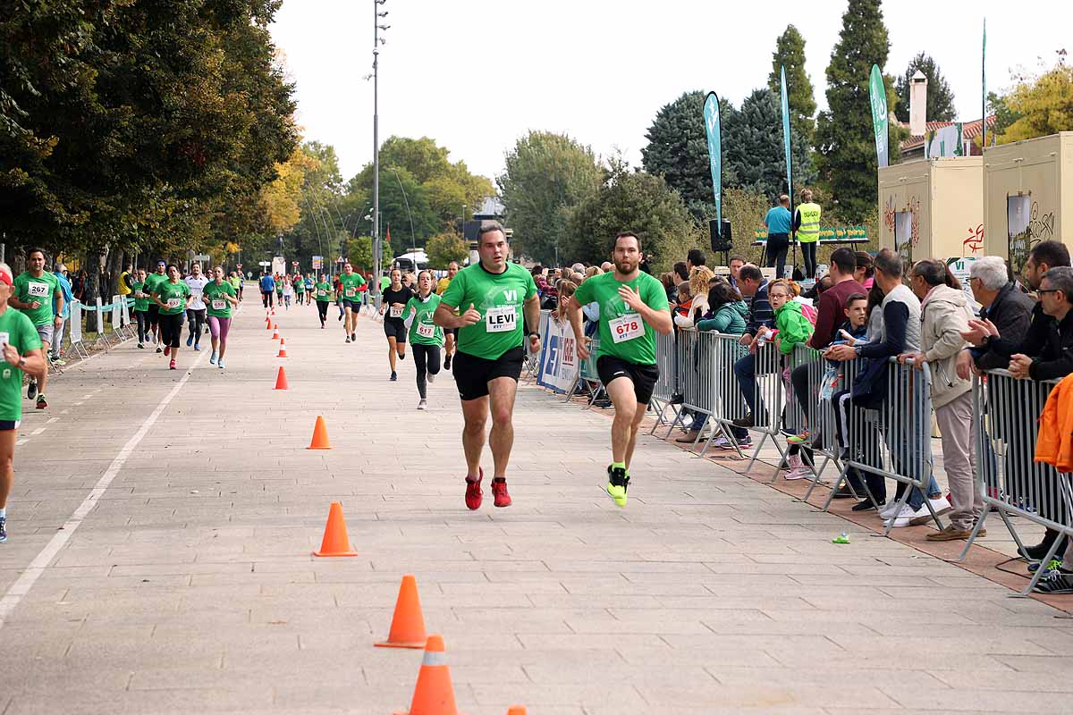 Dani Arce y Lidia Campo han sido los vencedores en la prueba de 10 kilómetros que ha recorridos las calles burgaleses. 