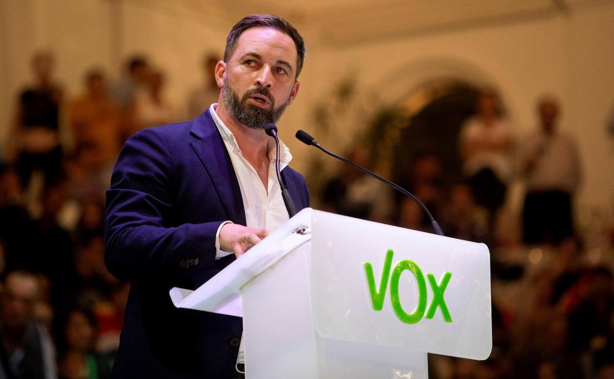 El líder de Vox, Santiago Abascal.