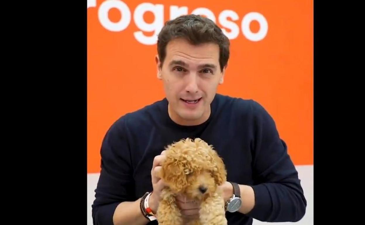 Albert Rivera con 'Lucas'.