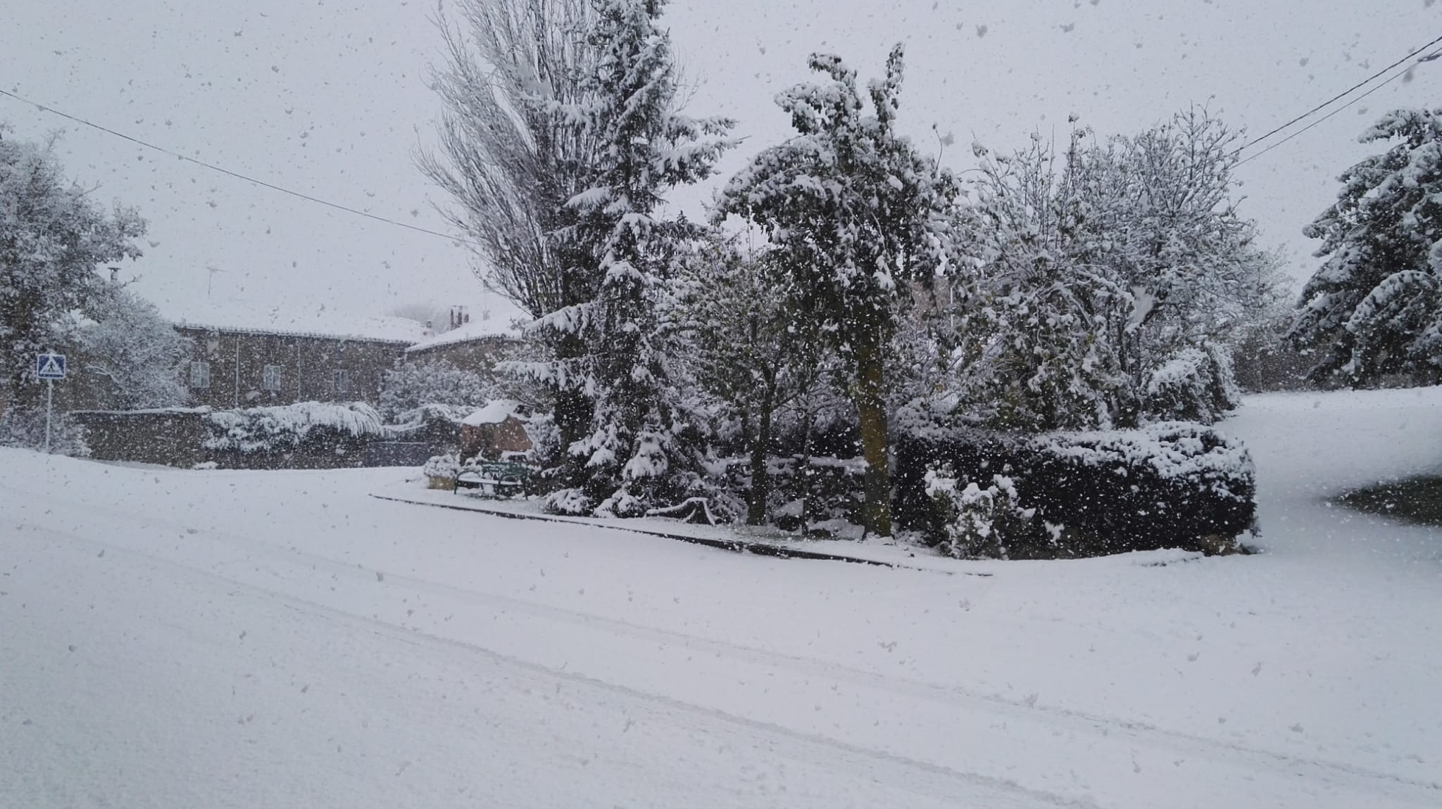 Fotos: La nieve hace acto de presencia en Burgos