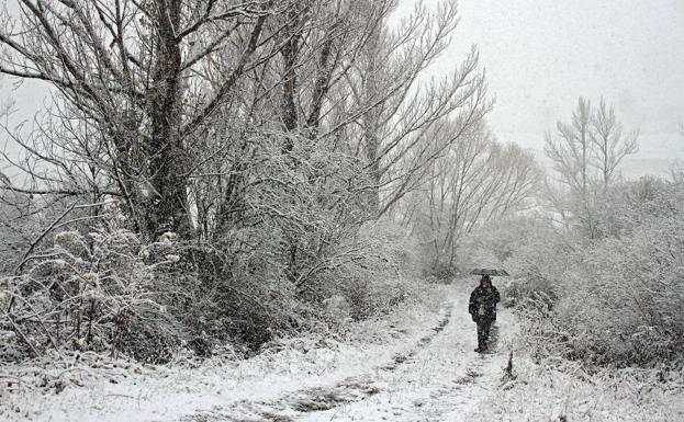 La nieve cubre la carretera cerca de Rodiezmo (León). 