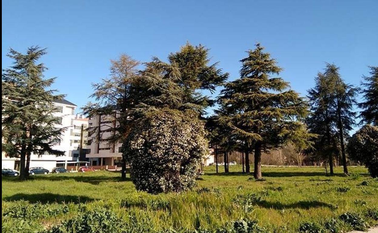 Parcela en la que iba a ir ubicado el centro