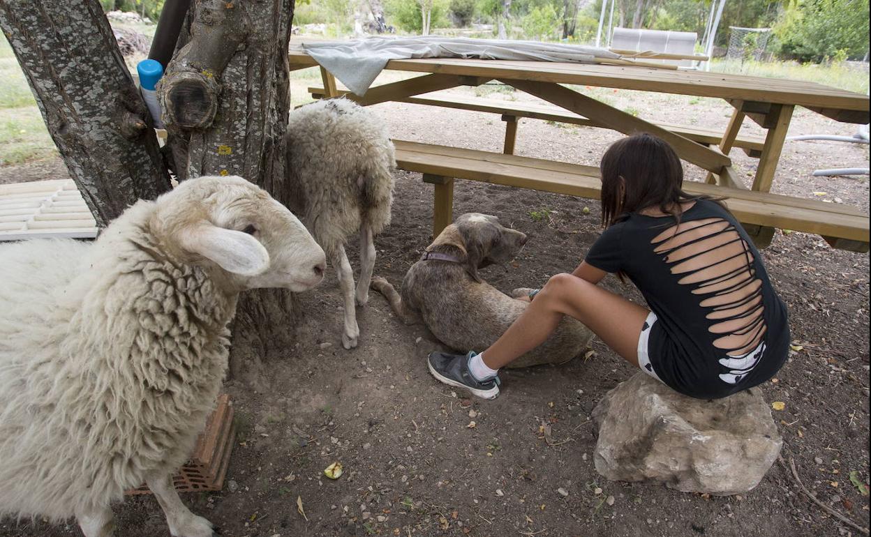 Esta red de apoyo para emprendedoras puede ser replicable en otras comarcas. 