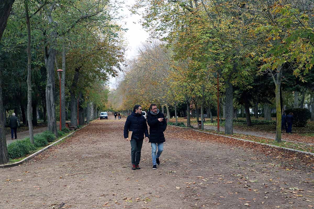 Ya se ha comenzado a actuar sobre el arbolado más envejecido y dañado y se quieren coordinar las actuaciones de los servicios de limpieza de viales y de mantenimiento de jardines. 