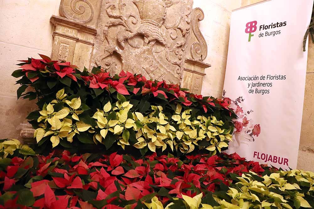 Fotos: Imágenes de la VI Edición de la Feria de Navidad