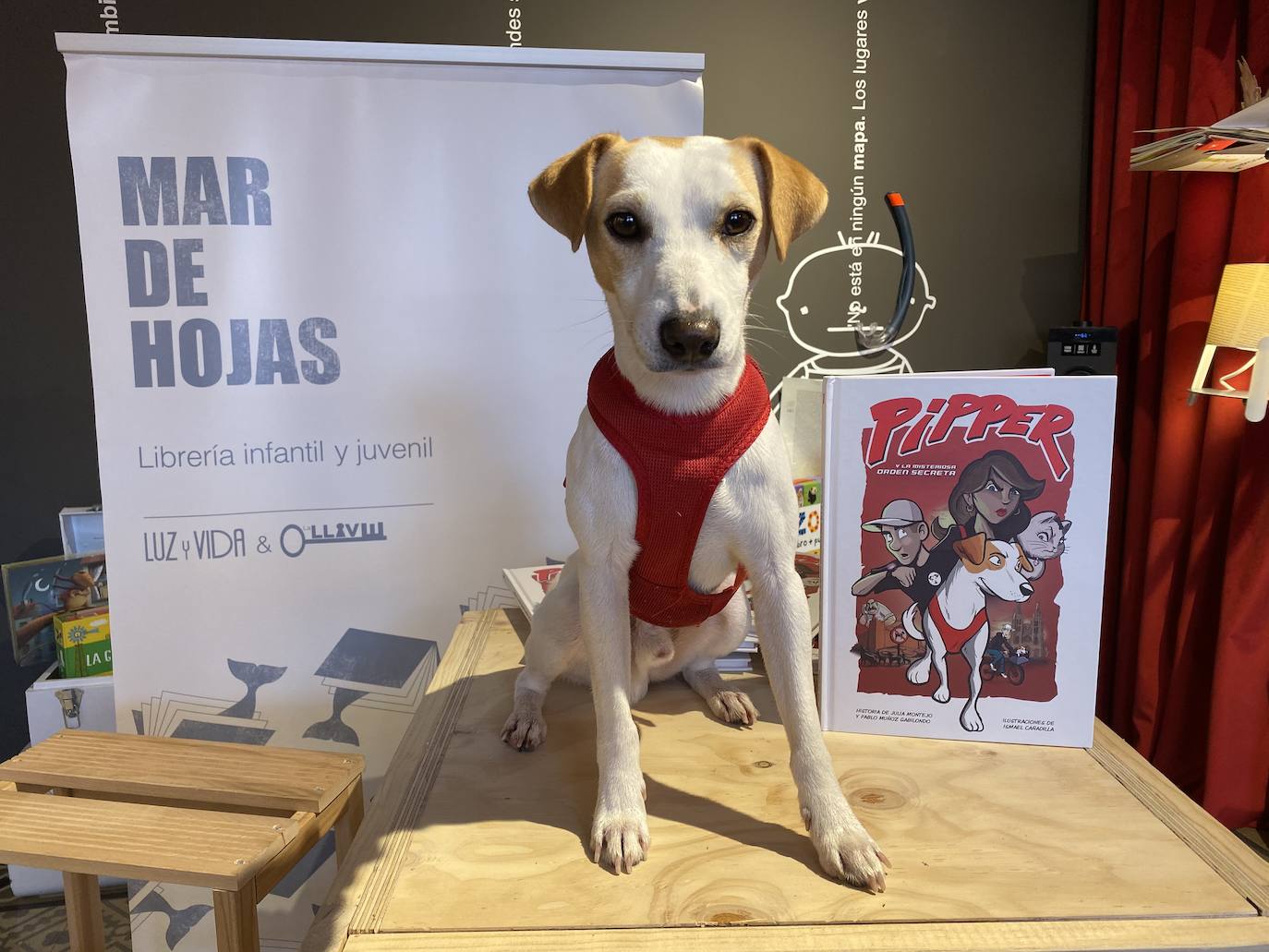 El can, junto con su dueño, Pablo Muñoz, promociona su último cómic, ambientado en Burgos.