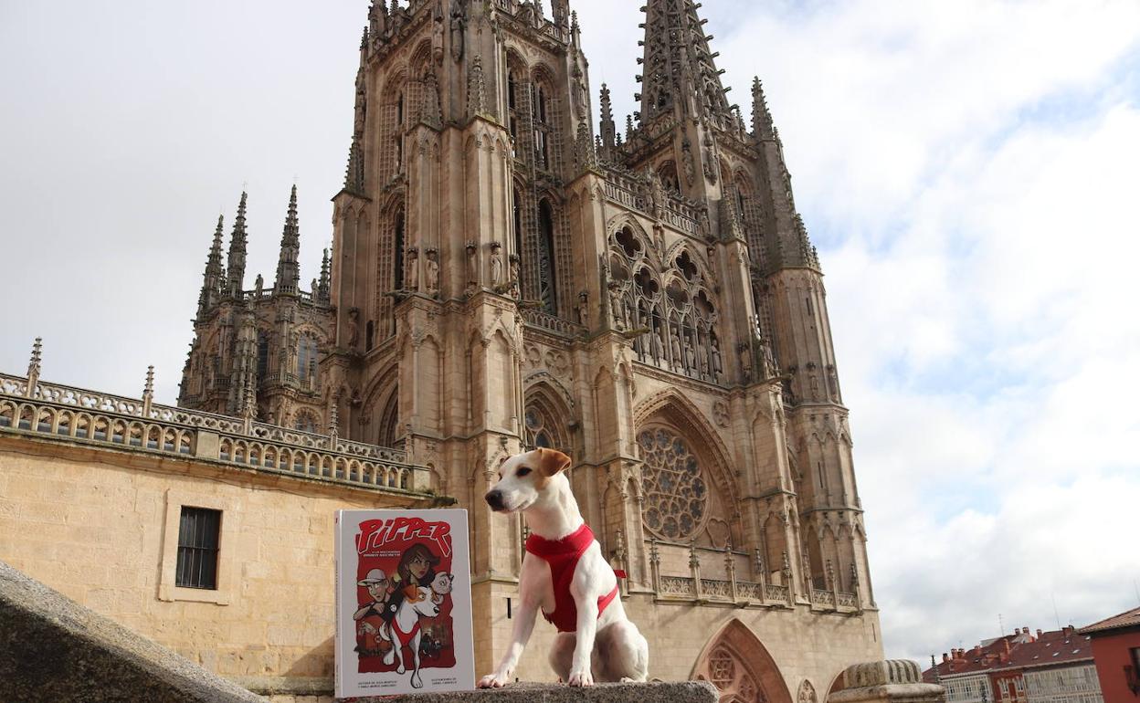 'Pipper', en la catedral de Burgos.