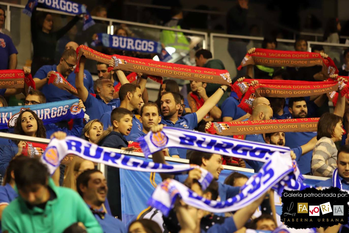 Fotos: El Coliseum vuelve a teñirse de azul