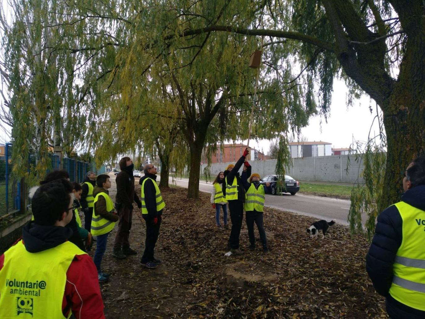 Fotos: Limpiando el polígono industrial Burgos Este