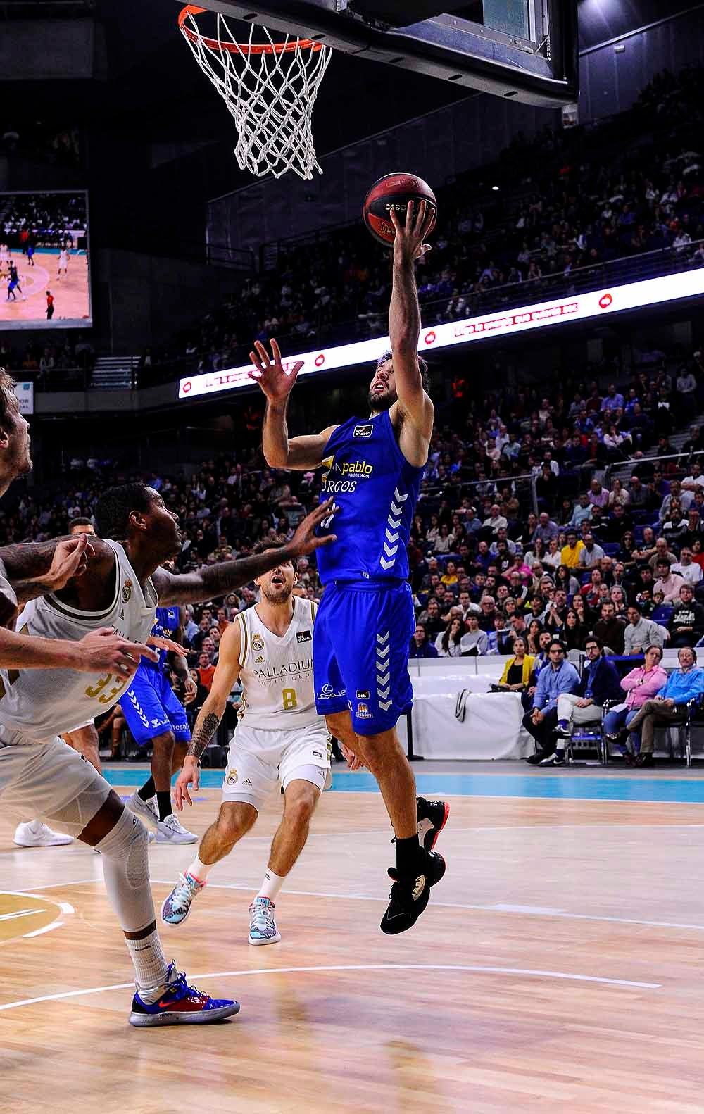 Fotos: Las mejores imágenes del partido entre Real Madrid y San Pablo Burgos