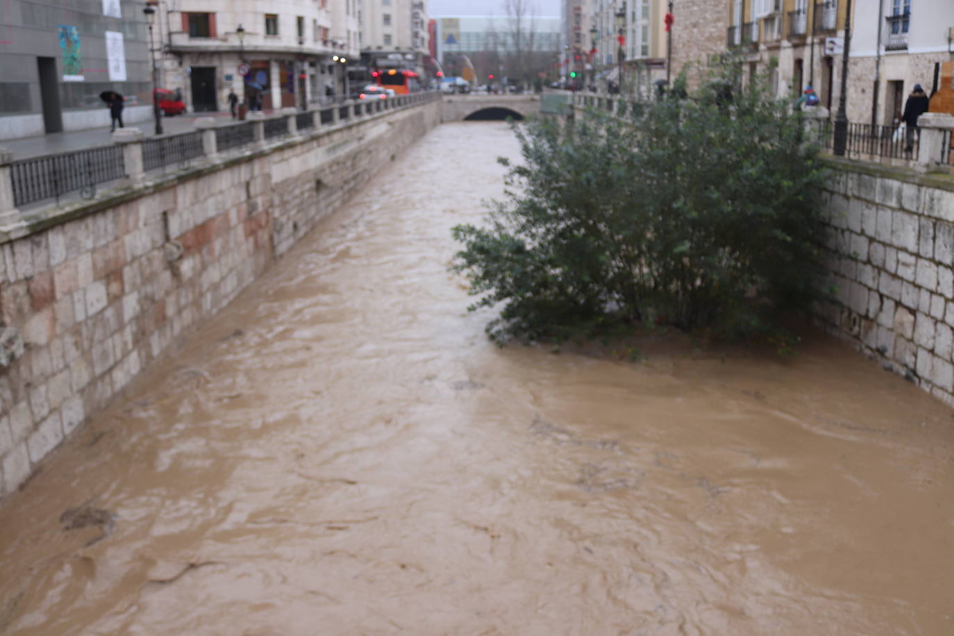 Río Vena a su paso por Burgos.