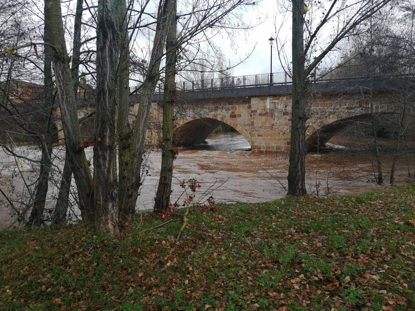 Río Arlanza a su paso por Salas de los Infantes. 